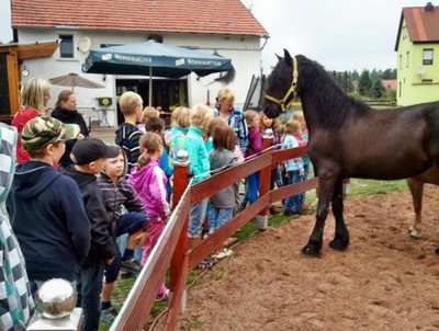 Gäste Pferdepension Pferdepension Gäste