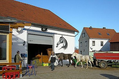 Pferde betreuung Pferdepension Team