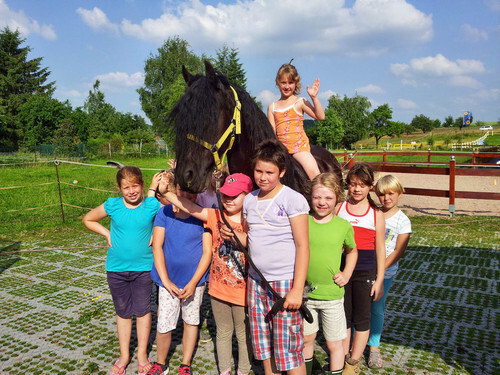 Wir waren schon bei Ponyhof Kaata! Und Ihr ? Reiterferien im Heu
