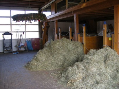 Hauptstall Pferdestall