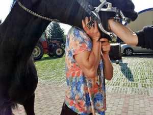 Zahnbehandlung Pferdezahnarzt